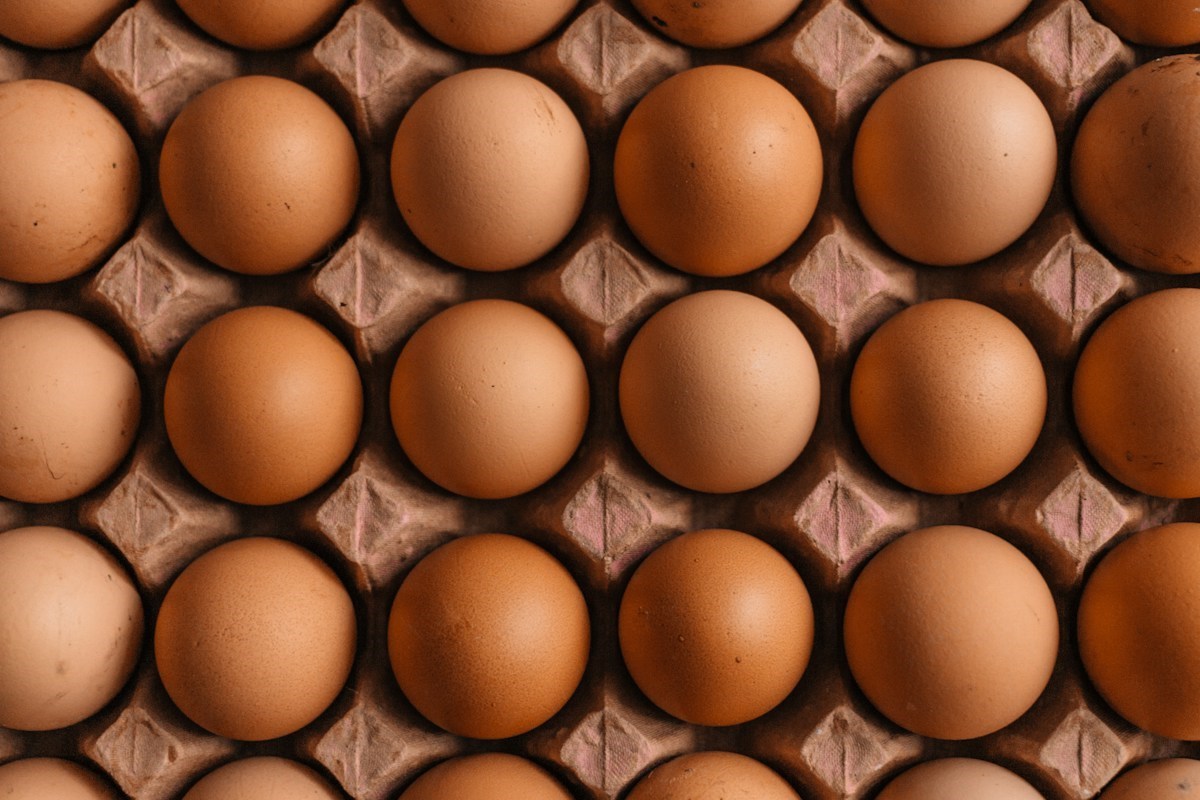 Air Fryer Hard Boiled Eggs (Easy-Peel Guide) ingredients and preparation setup
