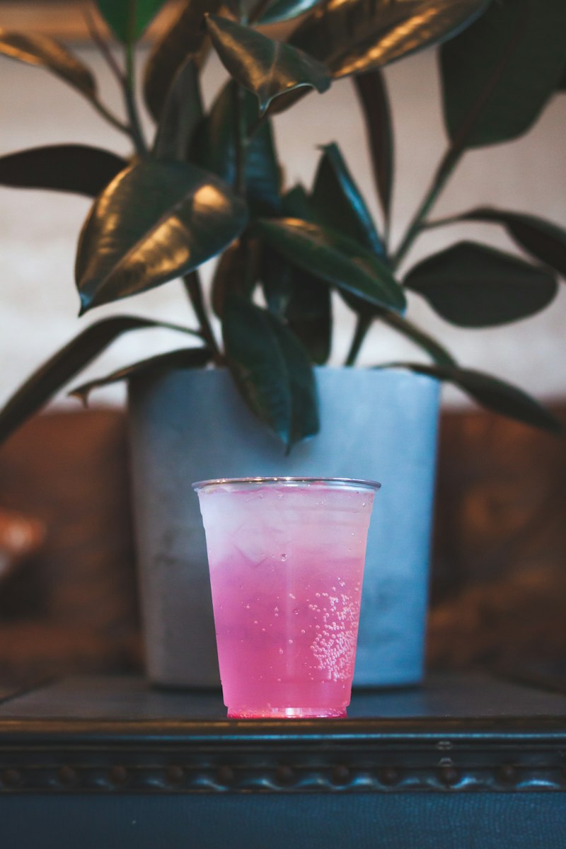 Refreshing Starbucks Pink Drink Recipe – Easy Copycat You Can Make at Home (Easy 5-Minute Recipe)