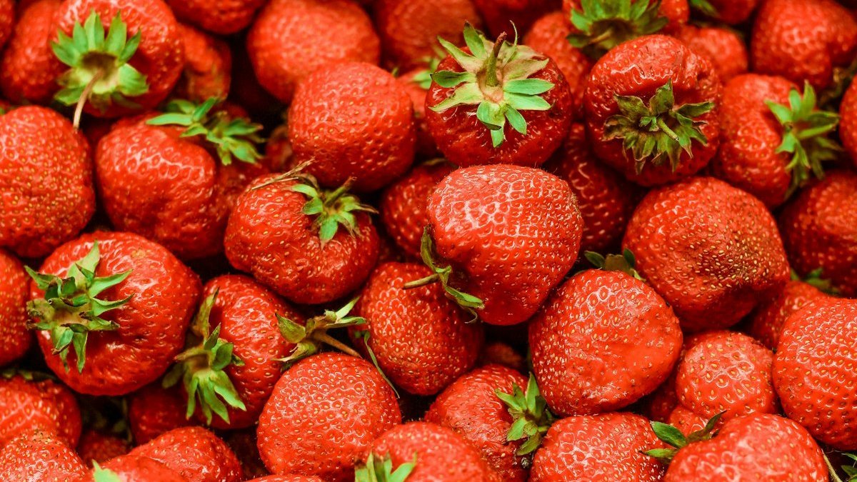 High-Protein Strawberry Protein Ice Cream Recipe – Creamy, High-Protein & No-Churn (Quick & Healthy Recipe) ingredients and preparation setup
